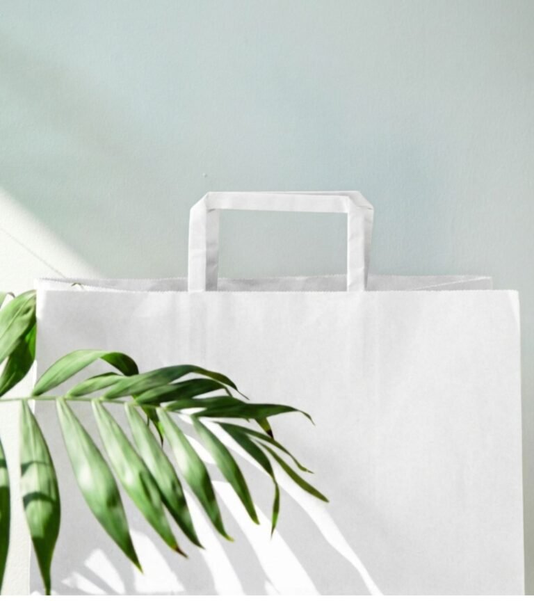 A close-up of a white paper shopping bag with flat handles, partially obscured by a green palm leaf in bright sunlight.